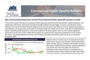 Commercial Credit Quality Bulletin thumbnail for Feb 2024