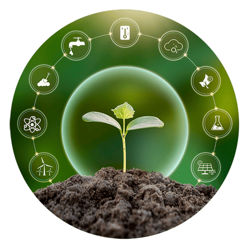 Environmental-Website