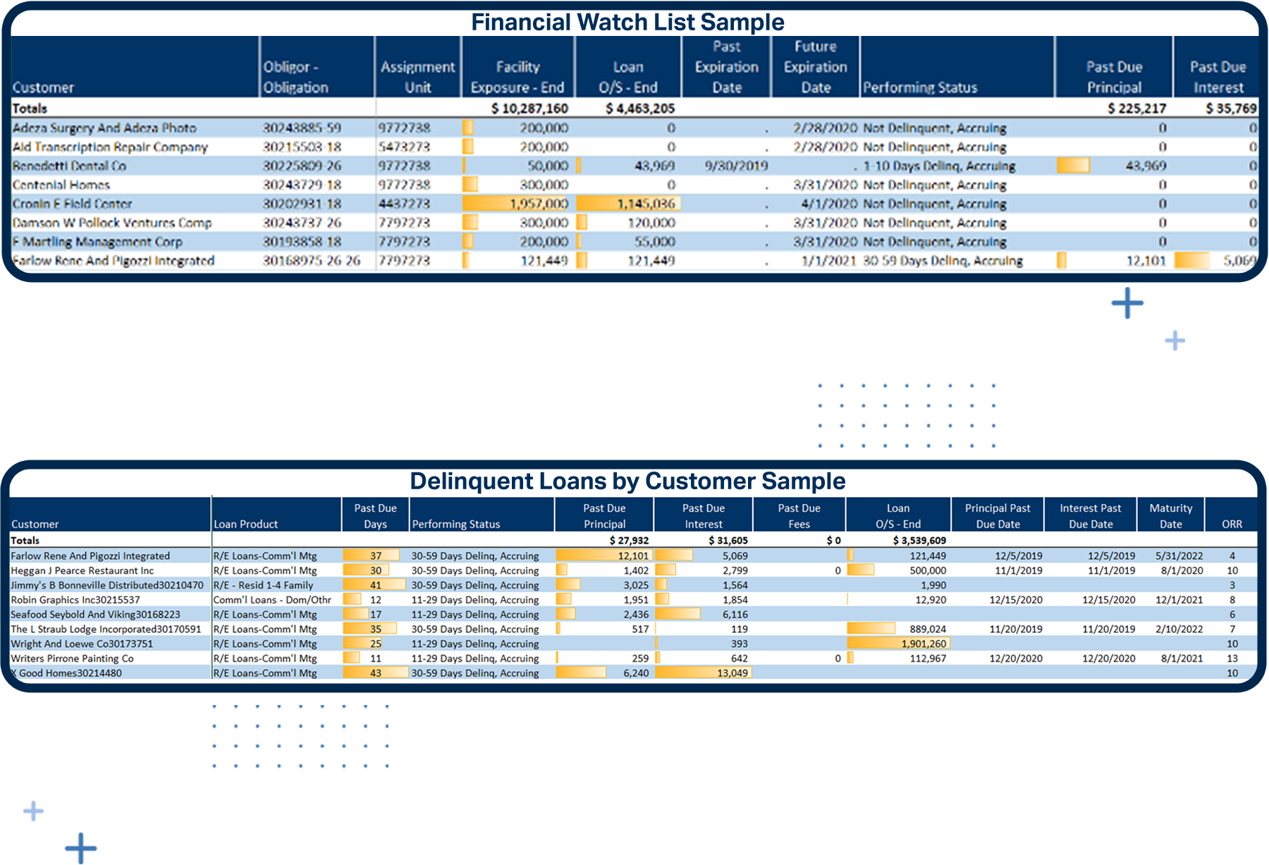 Financial watch list and delinquent loans reports